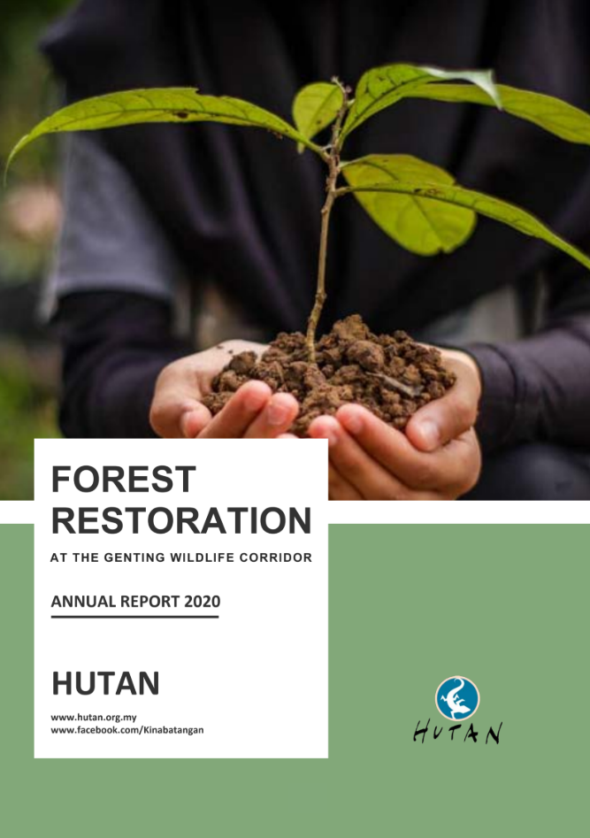 Reforestation Report 2020