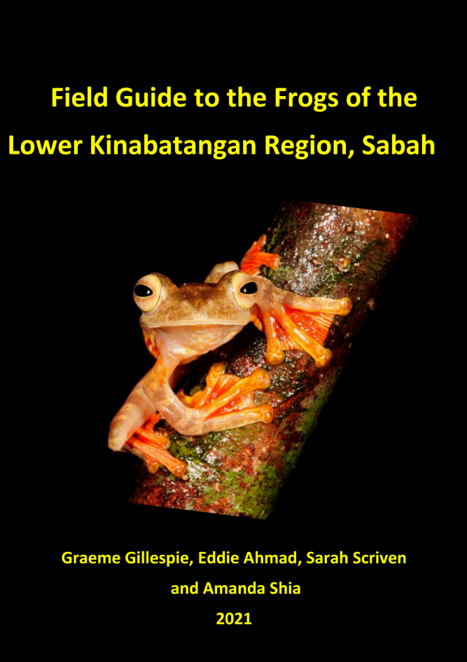 Field Guide: Frogs of the Lower Kinabatangan