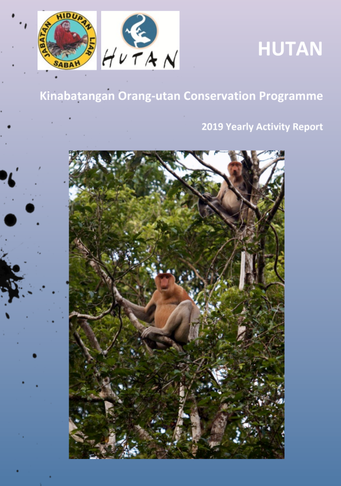 Activity Report 2019