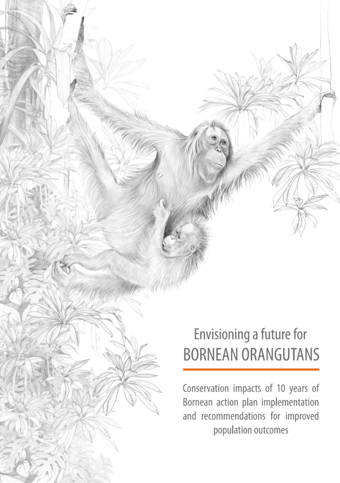 Envisioning a future for Bornean orangutans