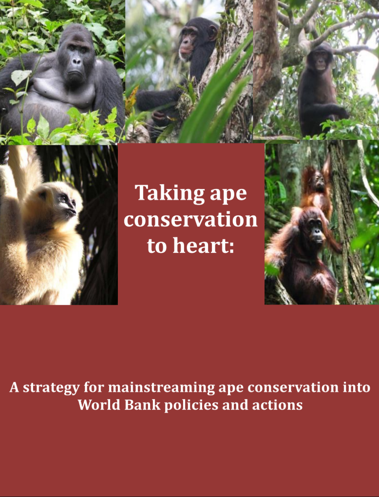 Taking ape conservation to heart