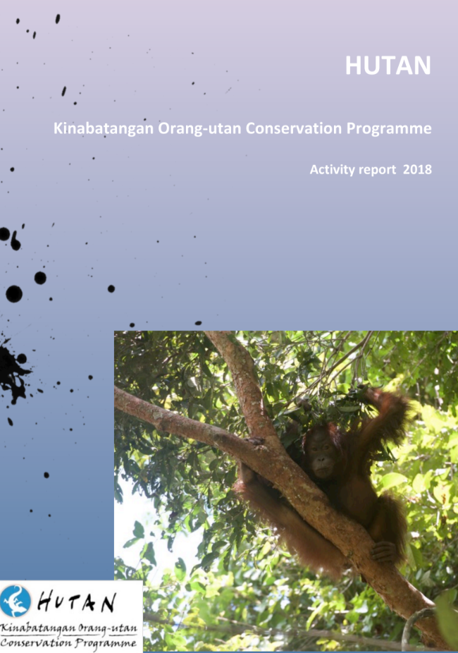 Annual Activity Report 2018