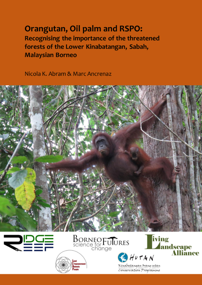 Orangutan, Oil palm and RSPO