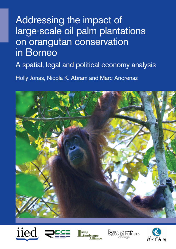Impact of large-scale oil palm plantations on orangutan conservation in Borneo