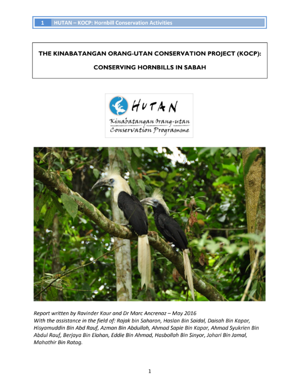 Conserving Hornbills in Sabah