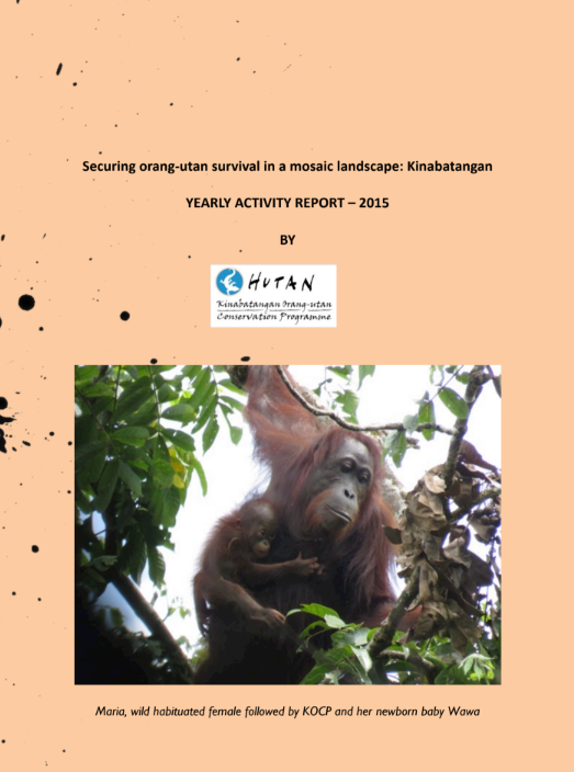 Annual Activity Report 2015