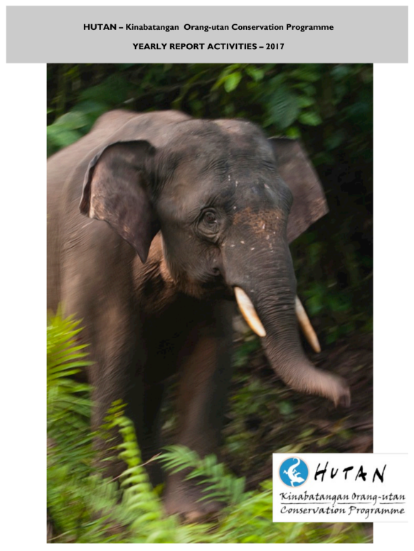 Annual Activity Report 2017