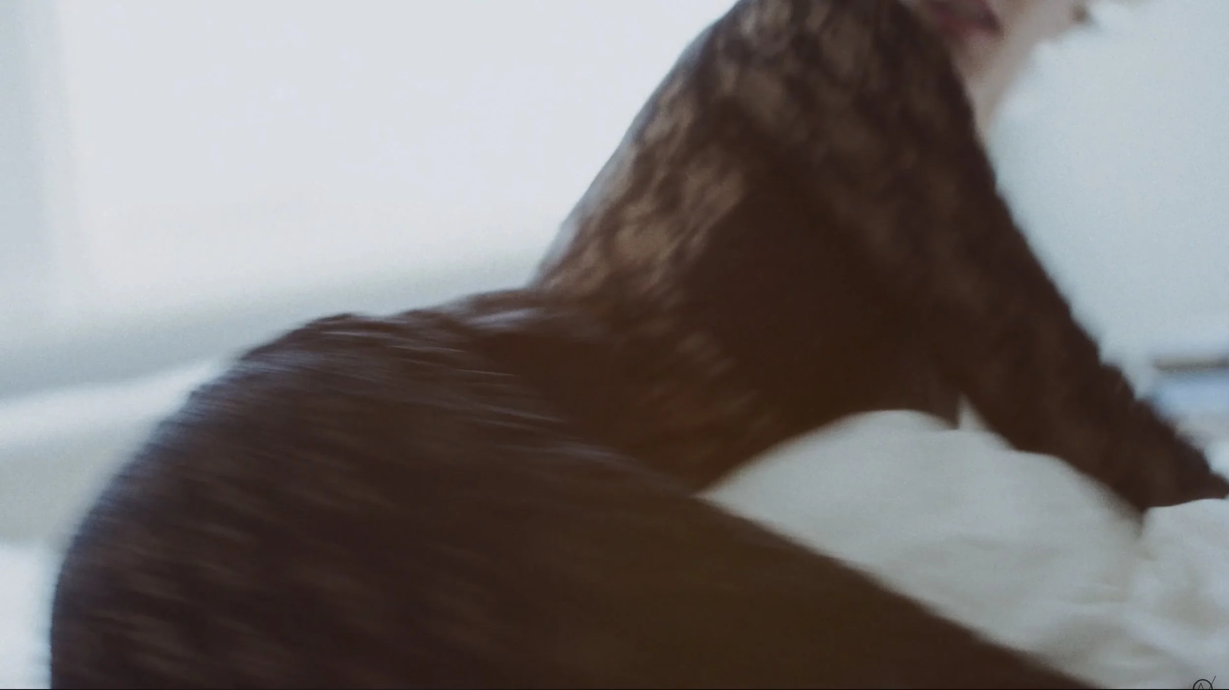 Ambre Vallet 'Fatigue' Music Video - Head Stylist