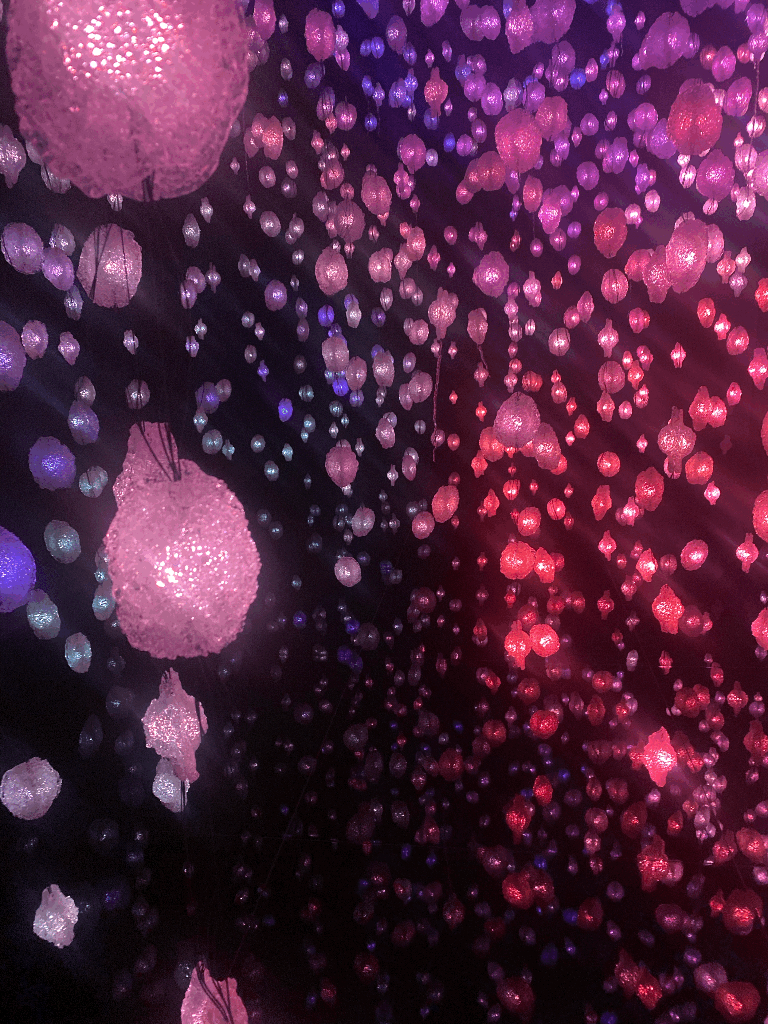 Monatsrückblick November:Zwischen Burrito und Cafè Latte passt immer noch eine gute Moderation