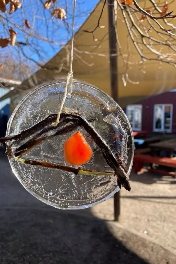 Ella Sonnenuntergang (4).jpg