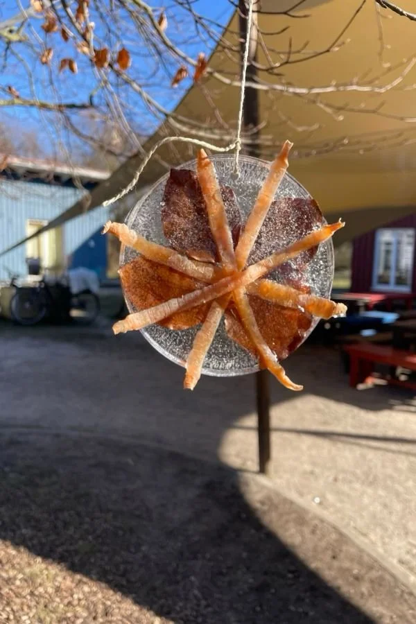 Ella Sonnenuntergang.jpg