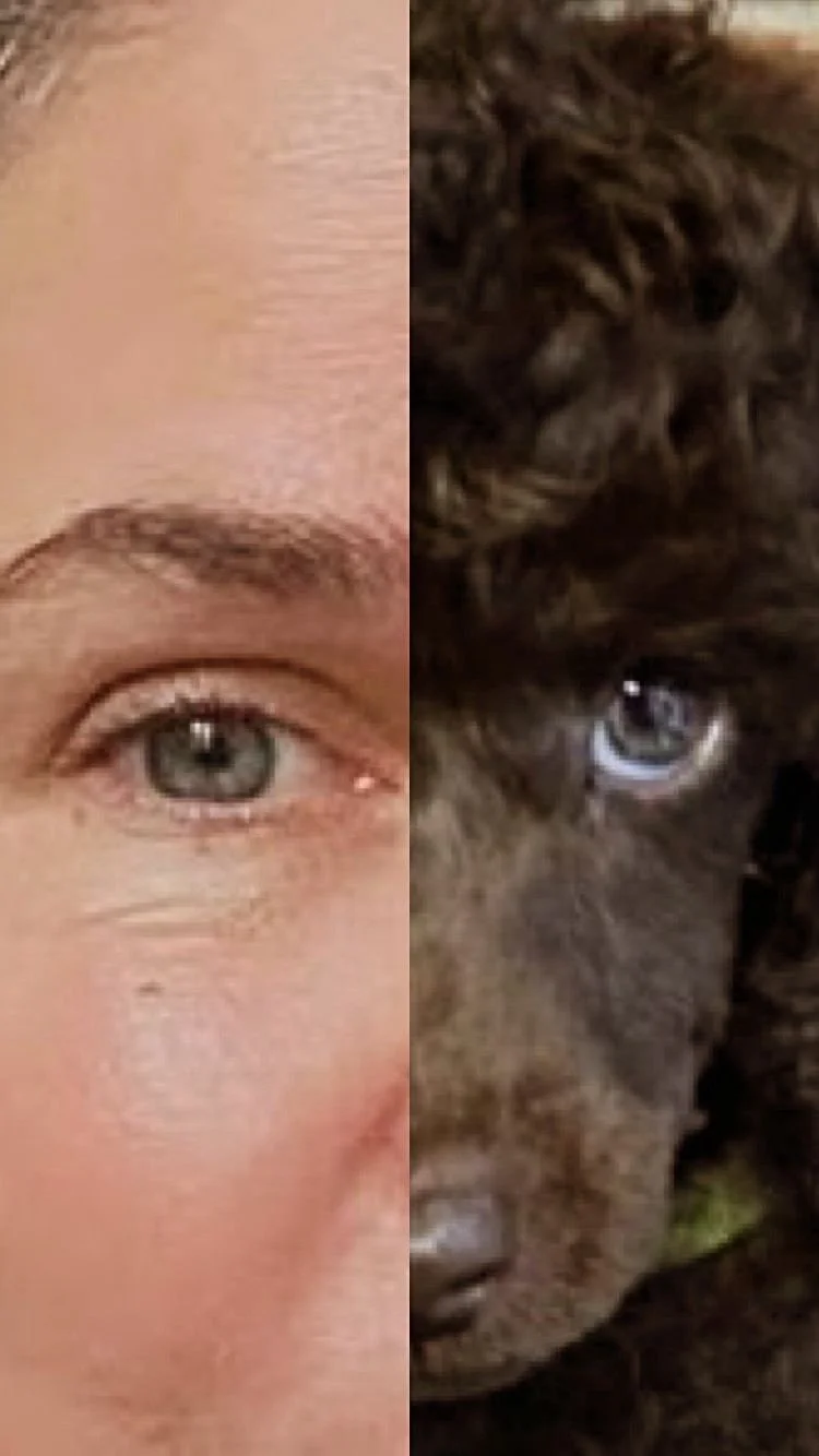 7003f661-d34e-43db-995e-6e6736d2489b 2.jpeg