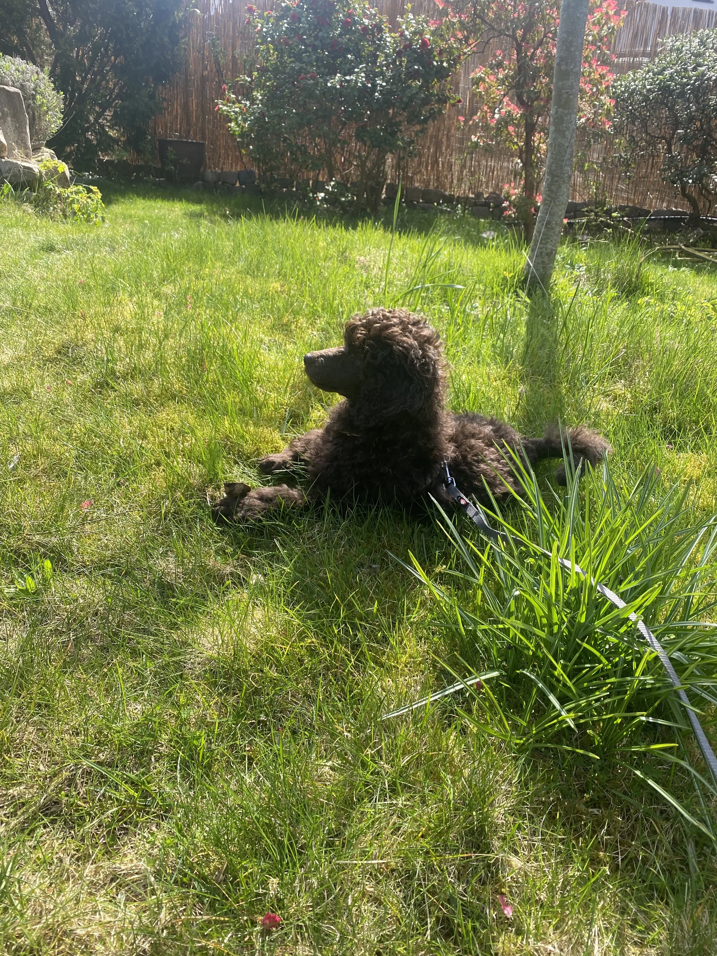 IMG_0585.jpeg