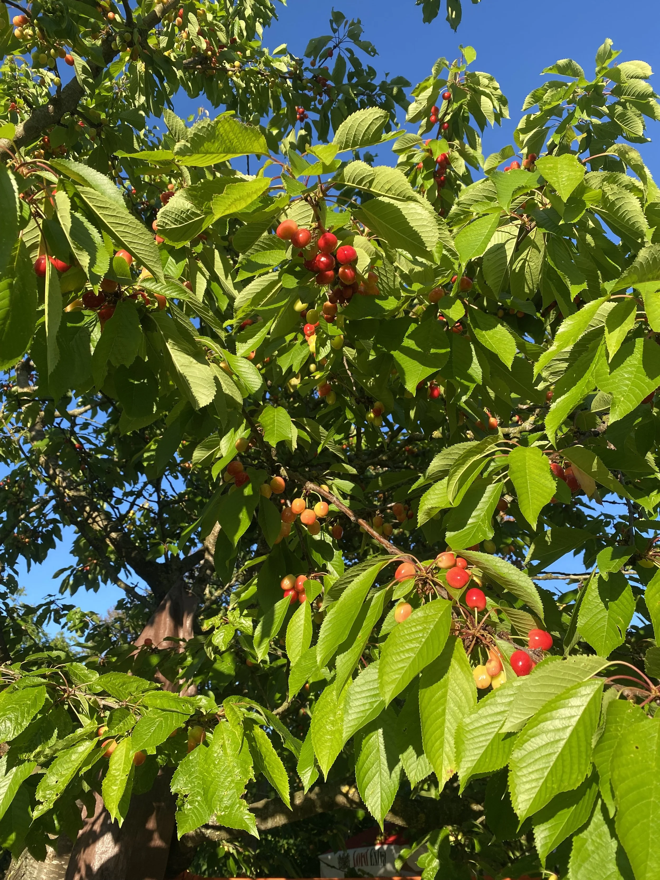 IMG_0874 4.jpeg