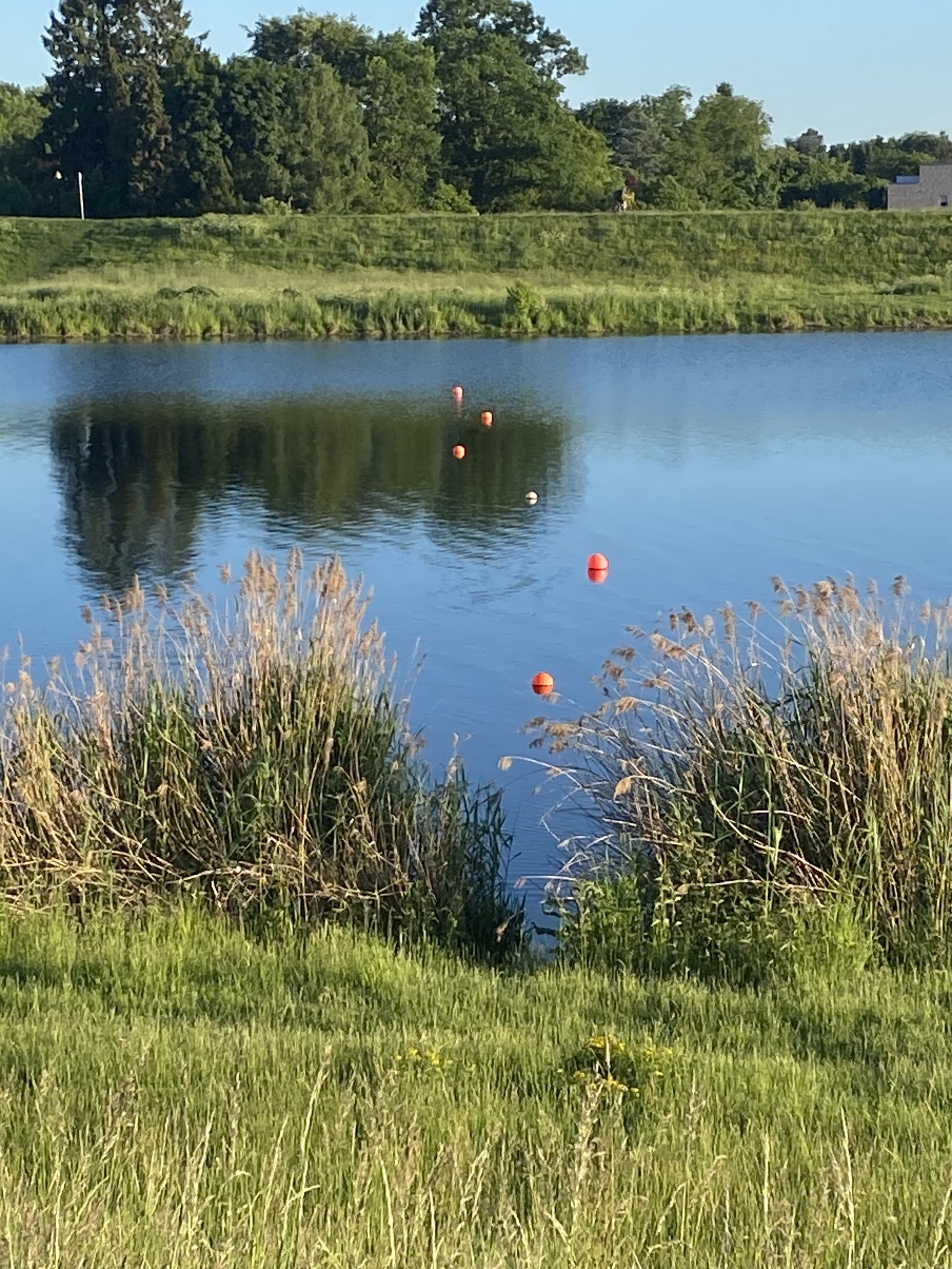 IMG_0897 4.jpeg