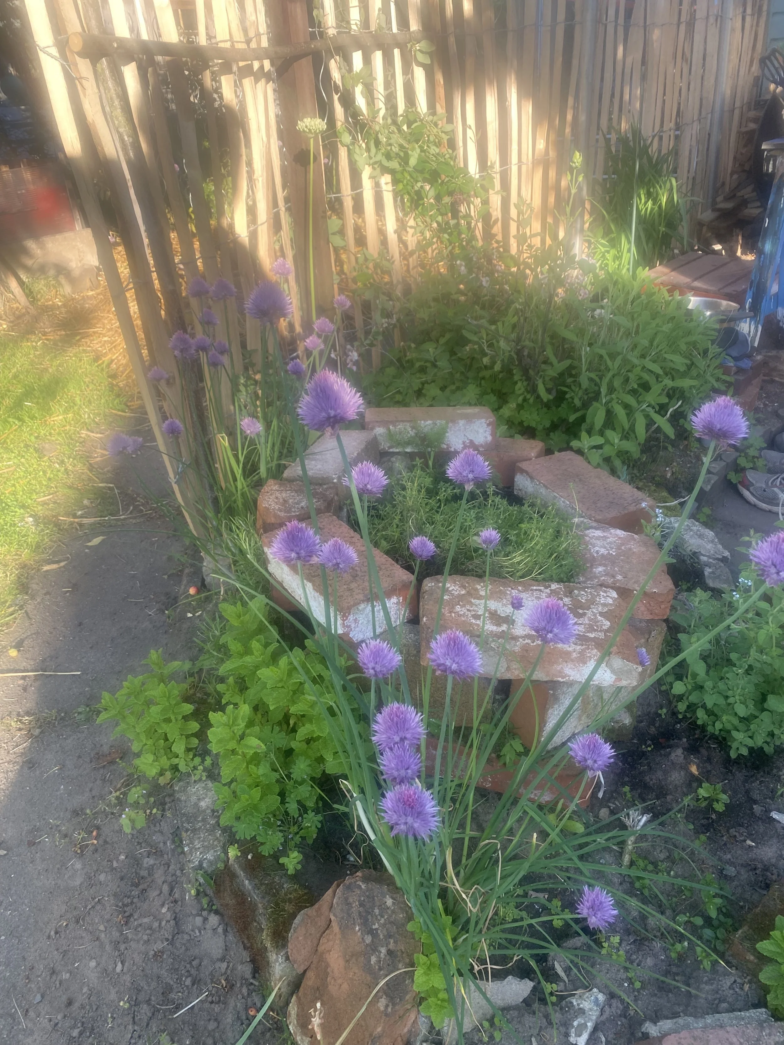IMG_0867 5.jpeg