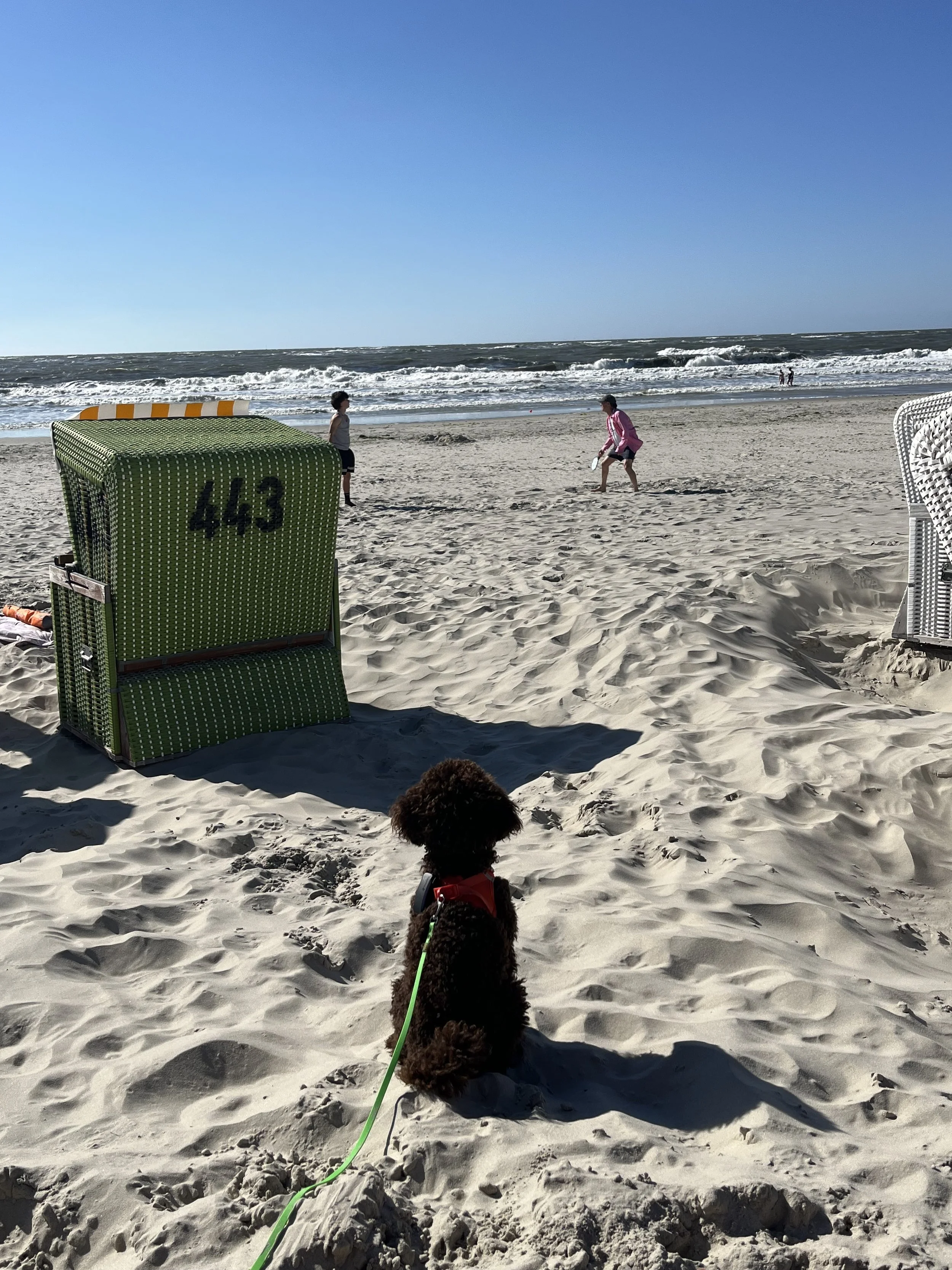IMG_1344.jpeg