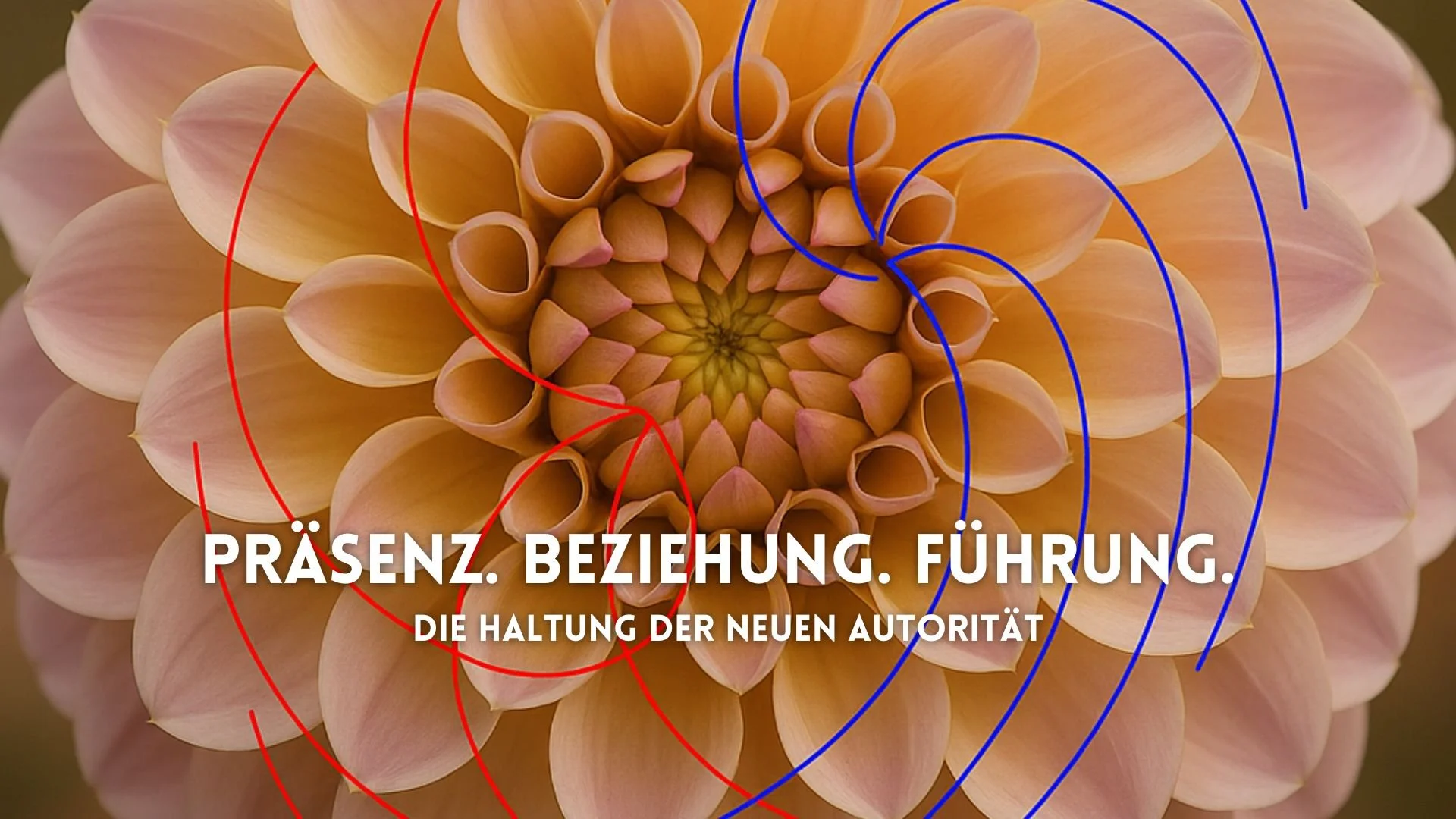 Präsenz, Beziehung und Führung: Die Haltung der Neuen Autorität