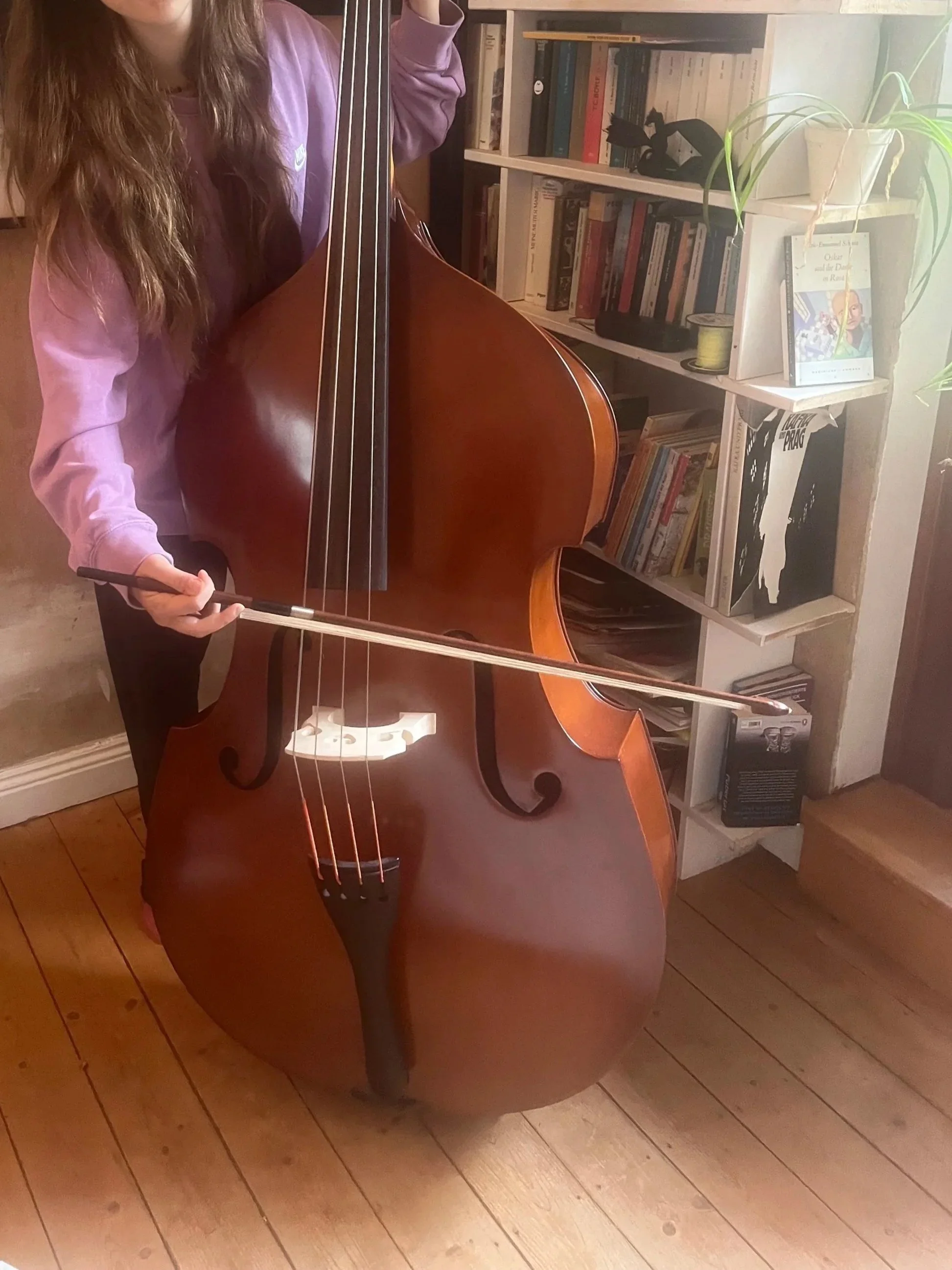 Der neue Kontrabass