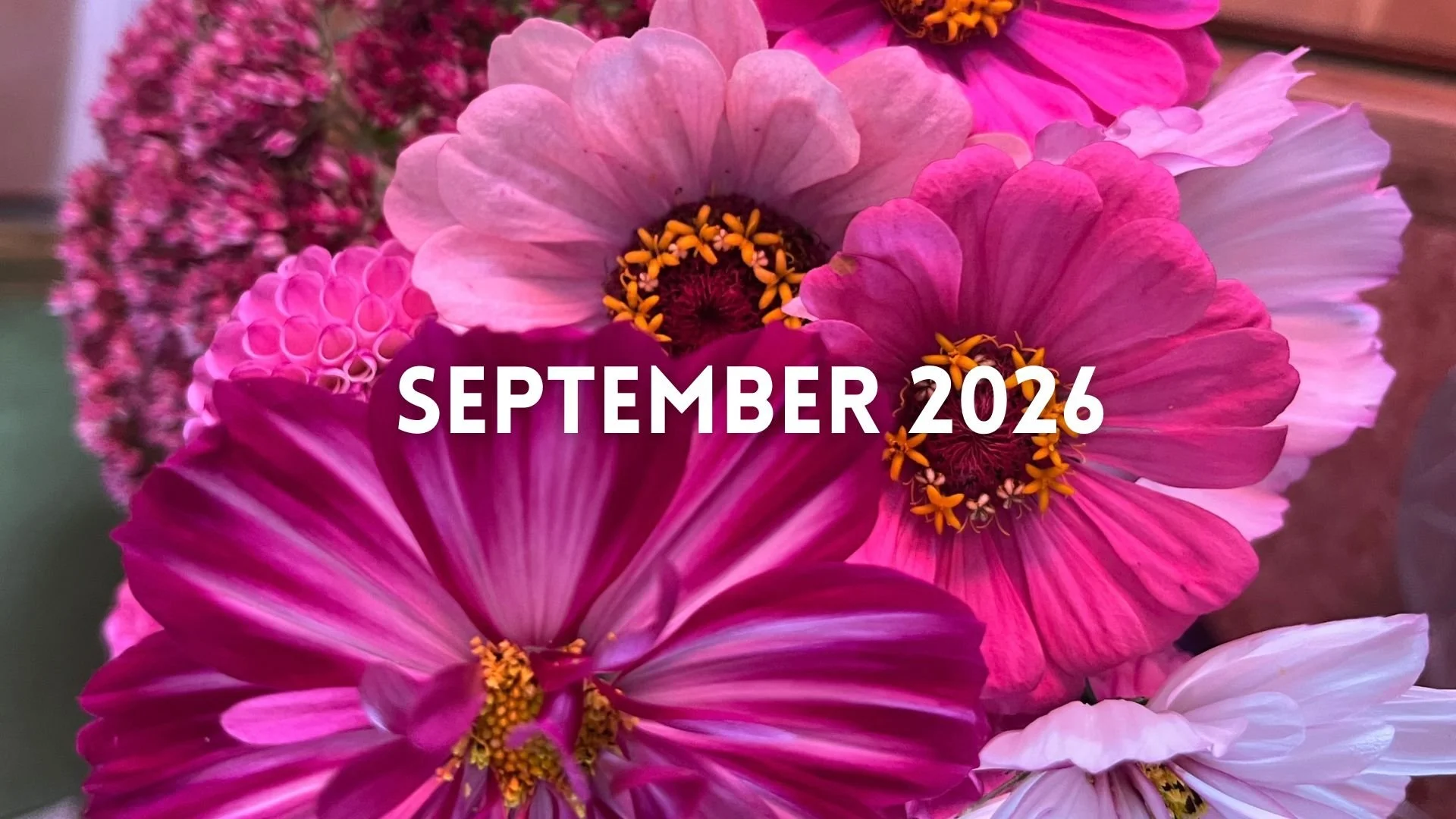 Monatsrückblick September 2026: Mein neuer Claim und zwei Gäste aus Odesa