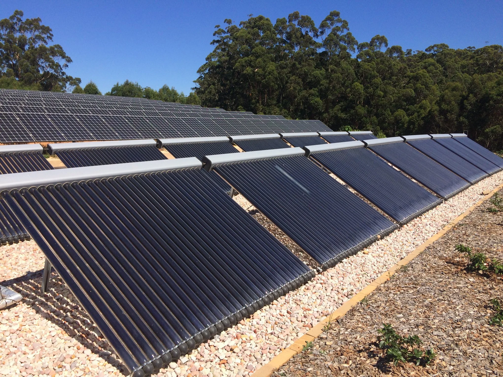 Multiple rows of black solar panels installed outdoors on a gravel surface with trees and a clear blue sky in the background.