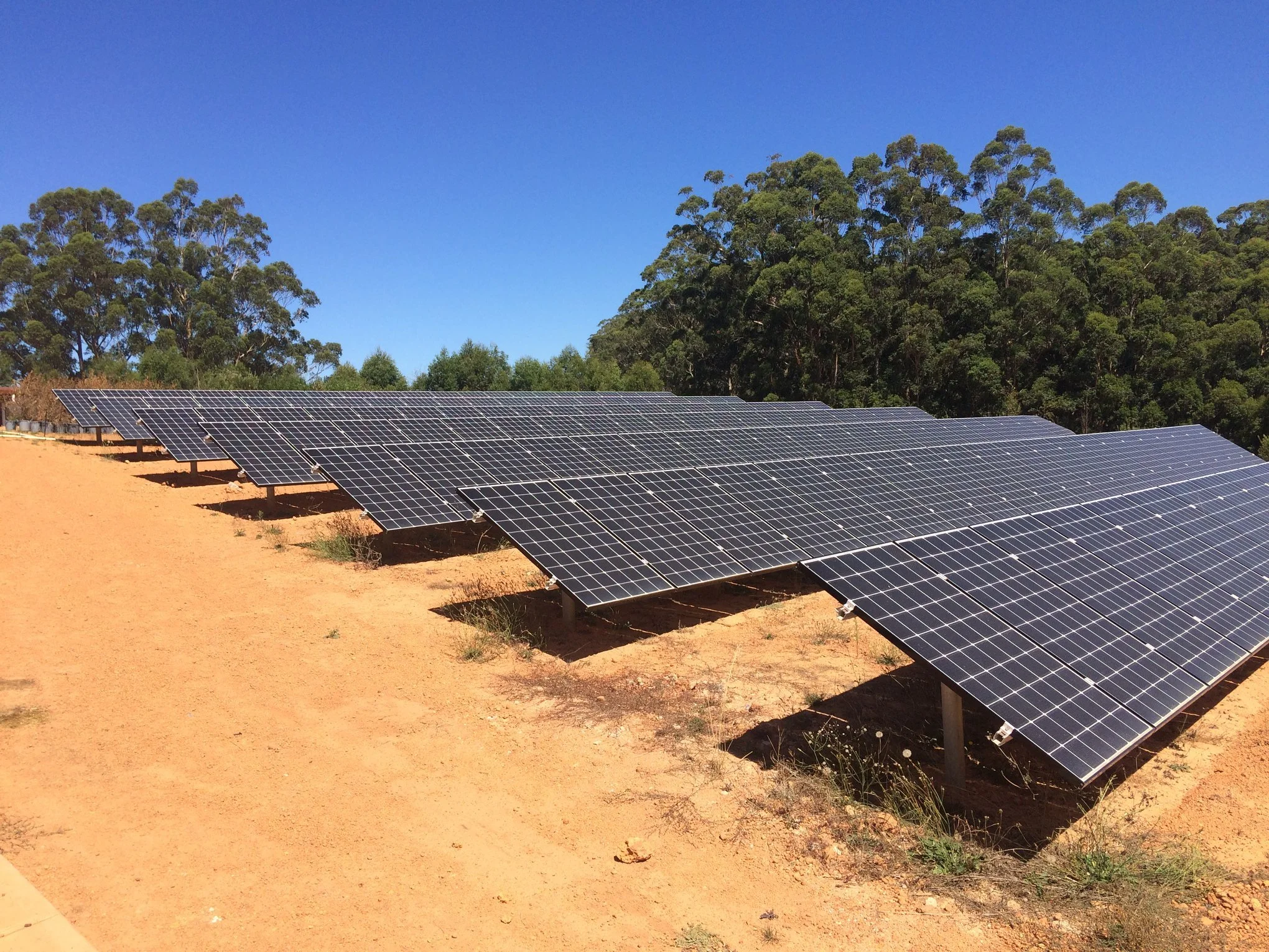 Multiple rows of solar panels installed on a sandy plot of land with green trees and a clear blue sky in the background.
