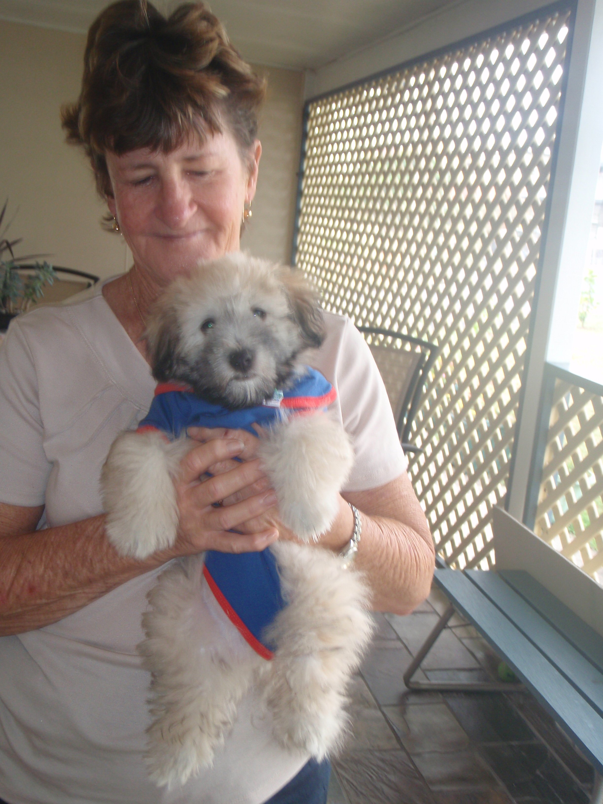 Mum & Harry puppy 26 Jan 09  (3).JPG