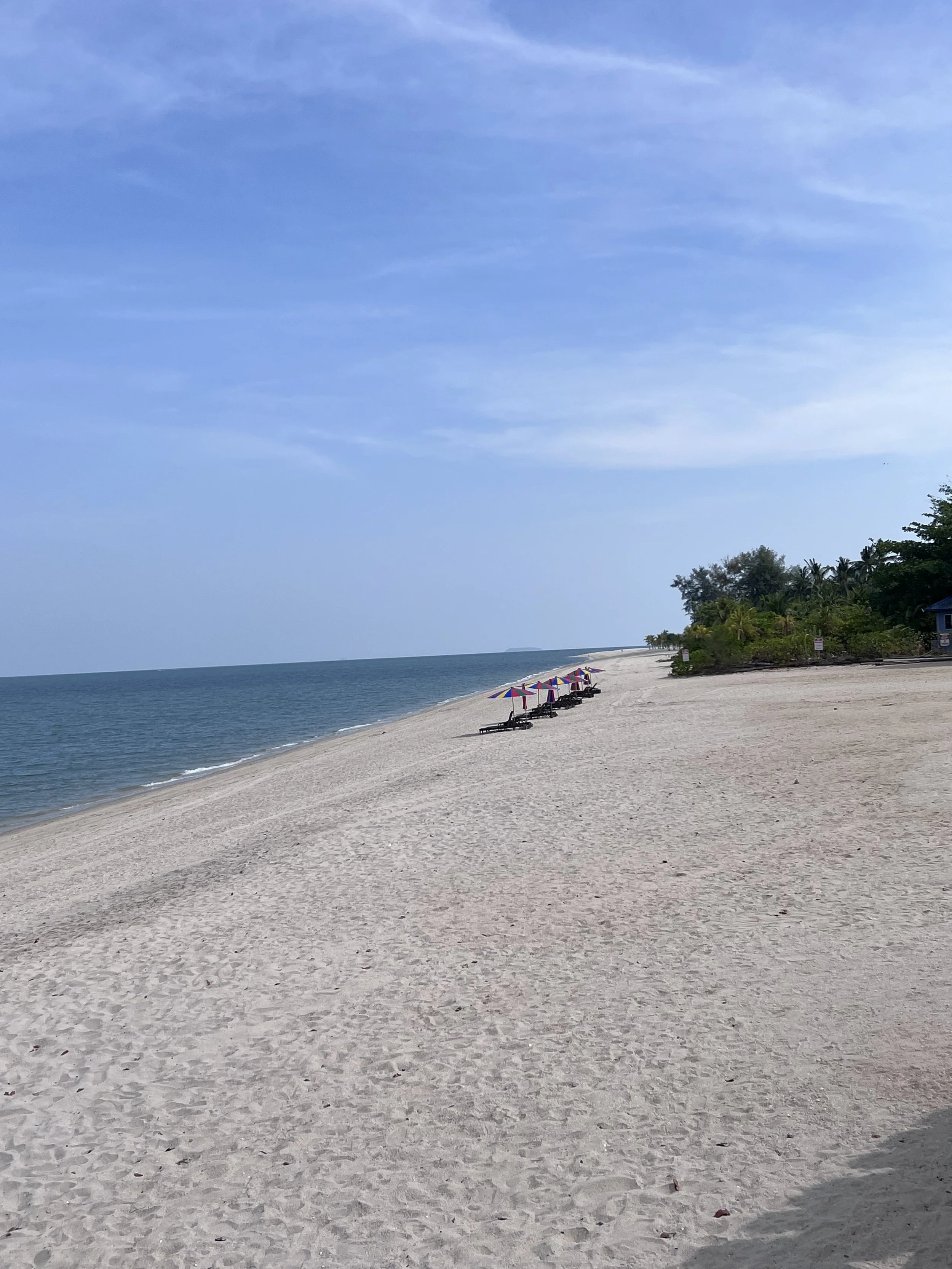 IMG_9018.jpeg