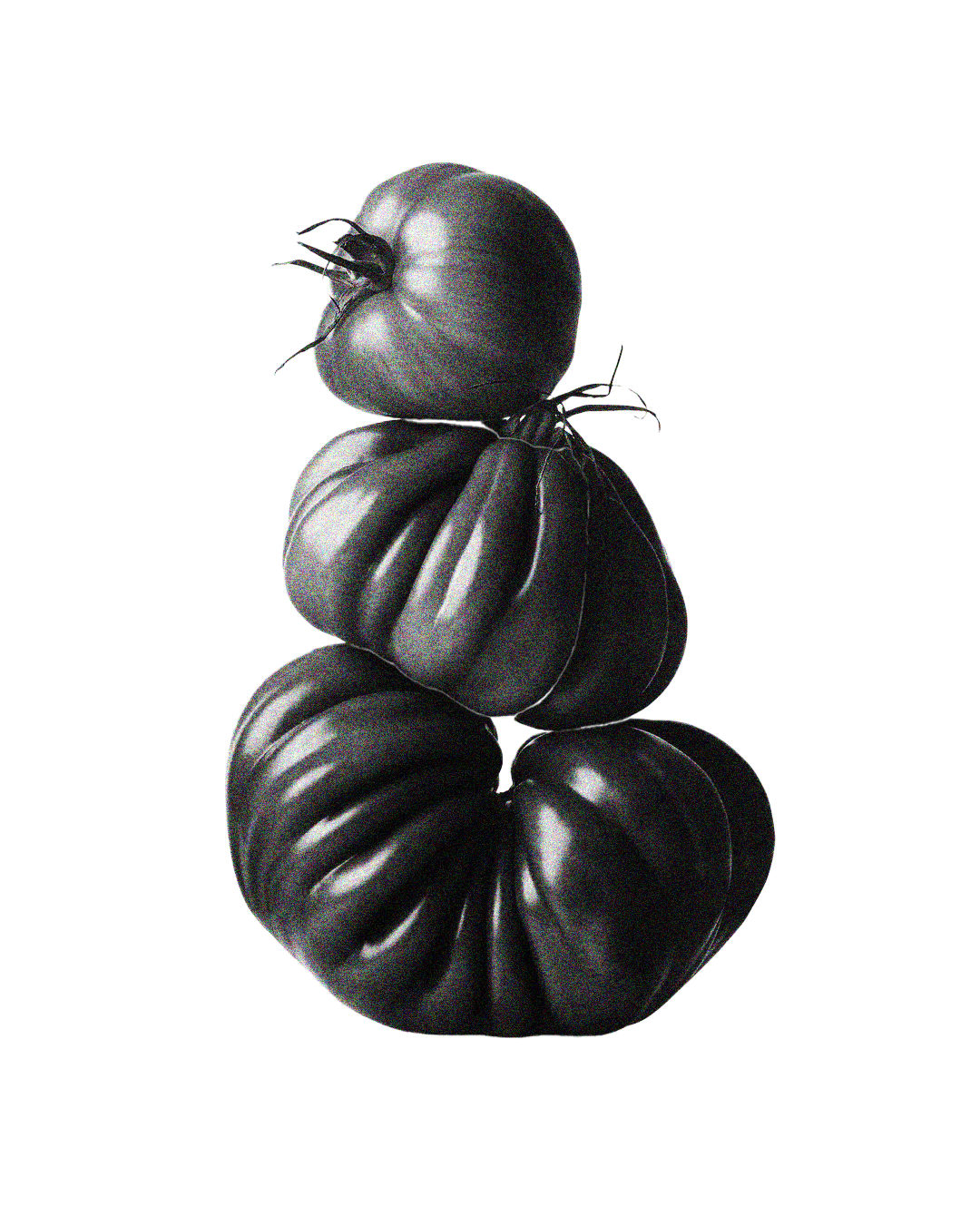 POMODORO