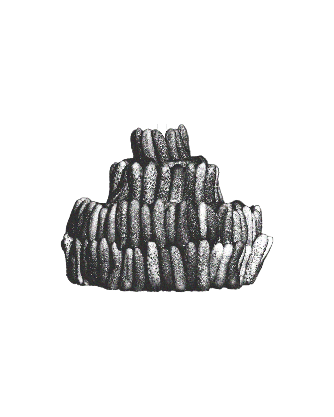 Una scultura nera a forma di fontana con forme organiche, composta da colonne intrecciate e rami