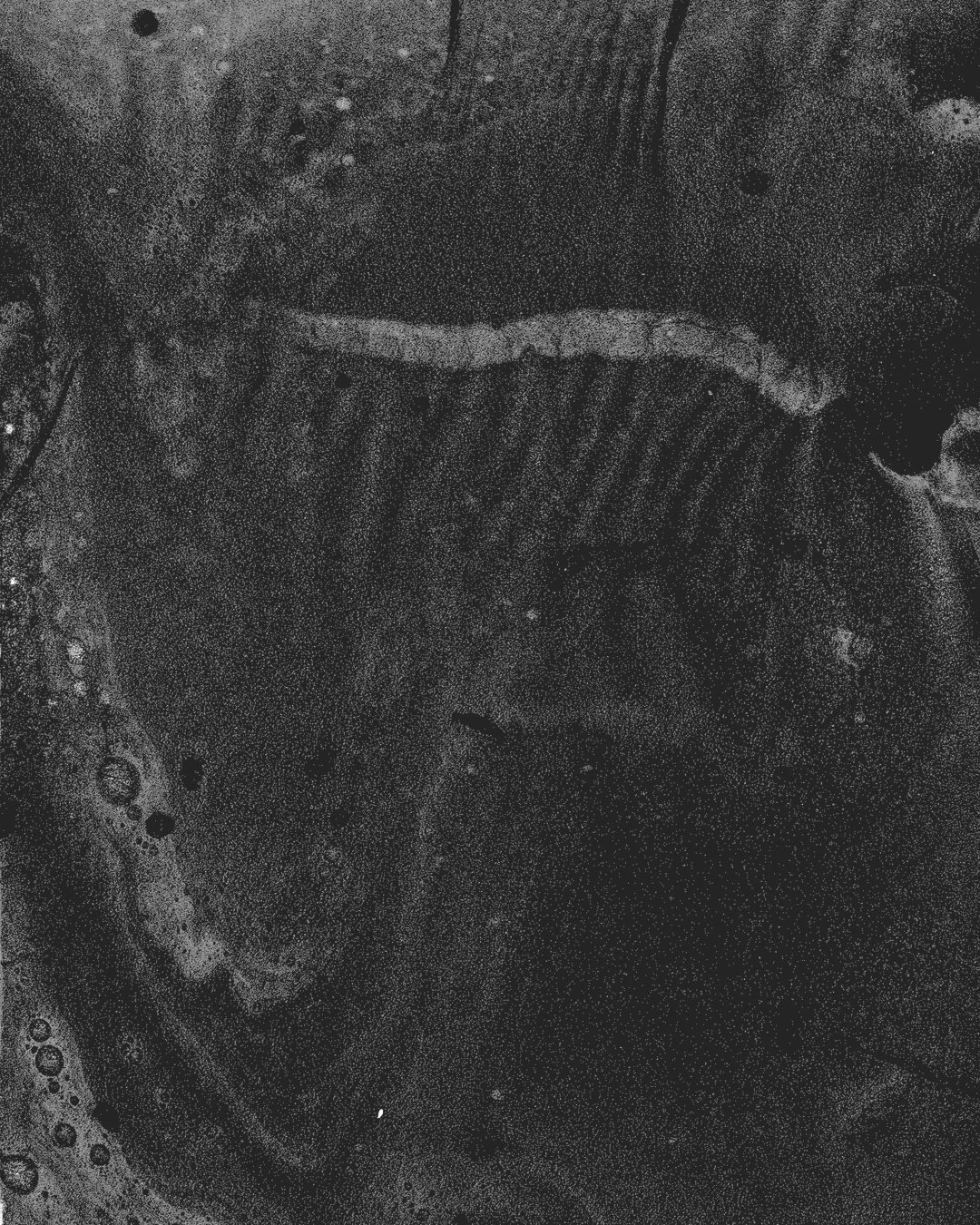 OPERA 1 SCAN BLACK.jpg