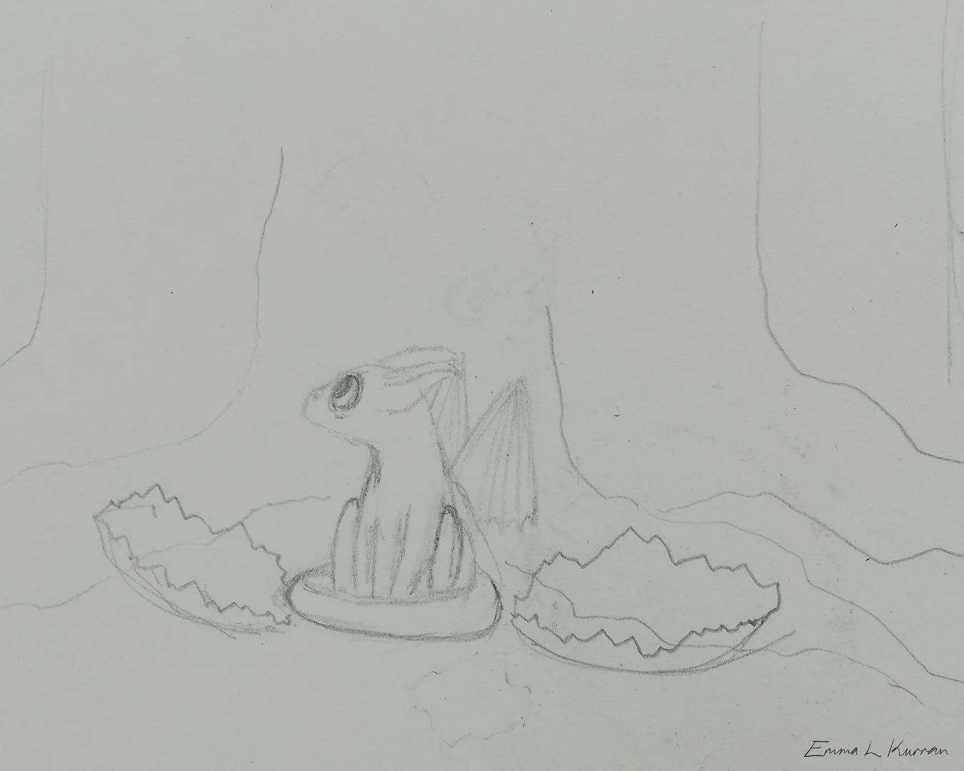 Newly hatched dragon.