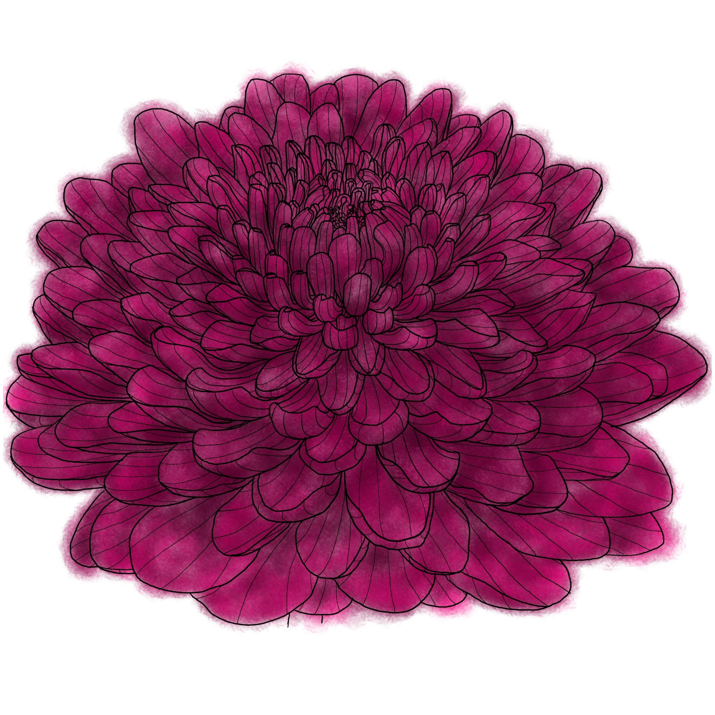 The Chrysanthemum Throne 