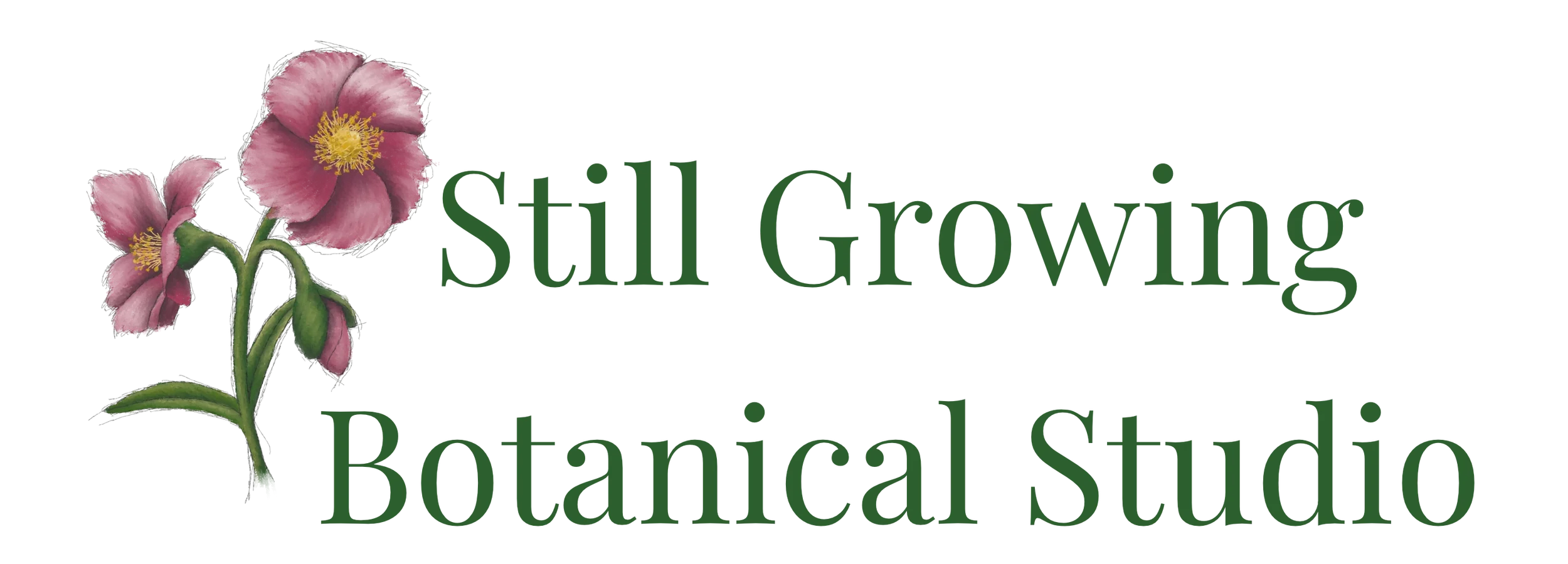 Logo with pink hibiscus flowers and green text that reads 'Still Growing Botanical Studio'.