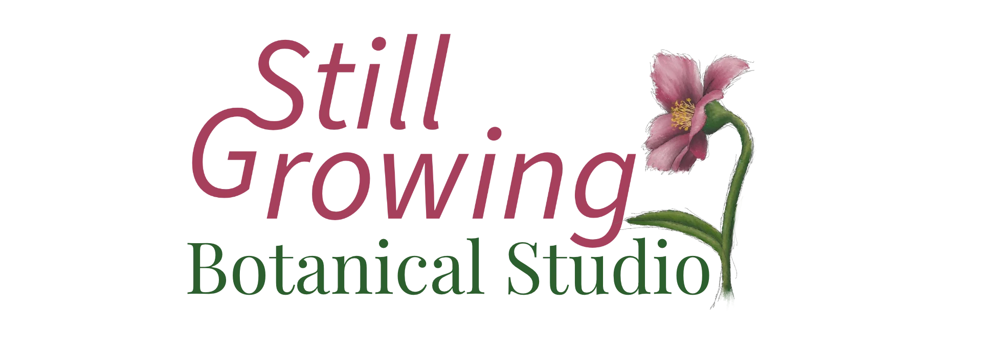 Text 'Still Growing' in pink with 'Botanical Studio' below in green and a pink rock rose flower to the right with a green stem and a single leaf.