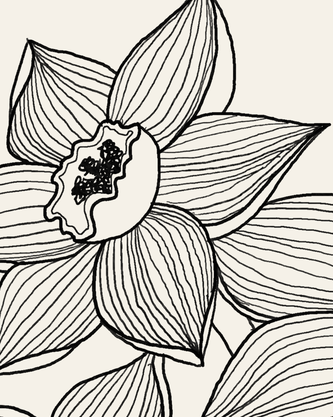 Hand-drawn botanical illustration process showing paper sketch and digital redraw with visible texture, proving human-made craftsmanship