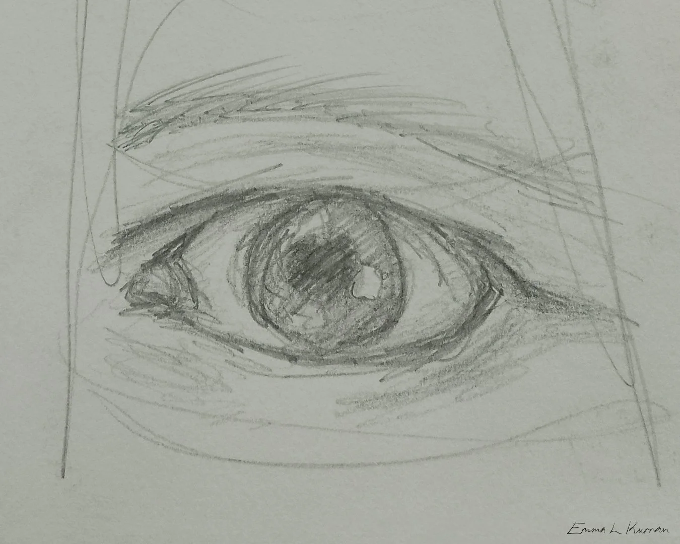 Eye