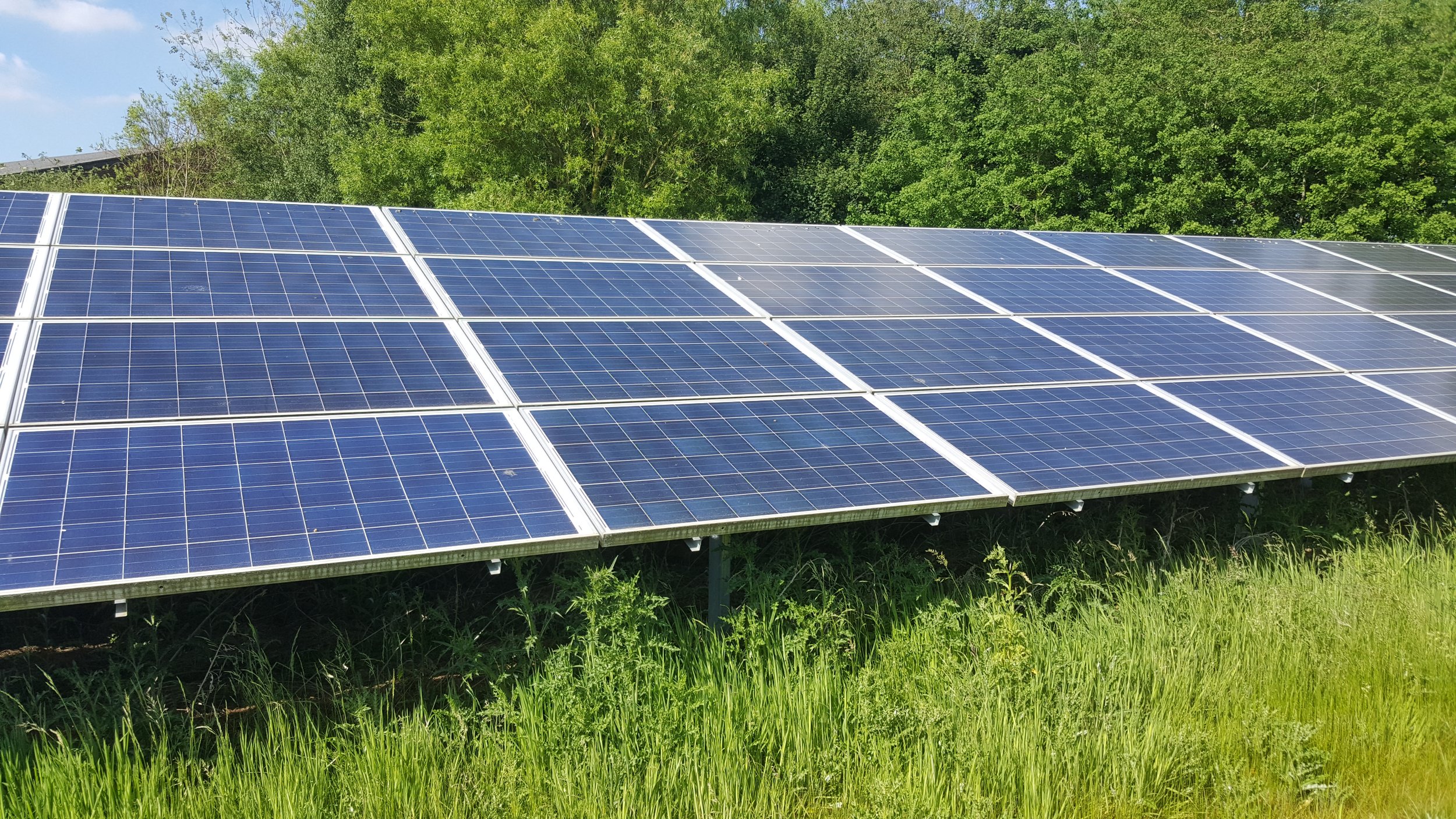 Solar panels installed on a grassy field with a backdrop of green trees under a clear sky.