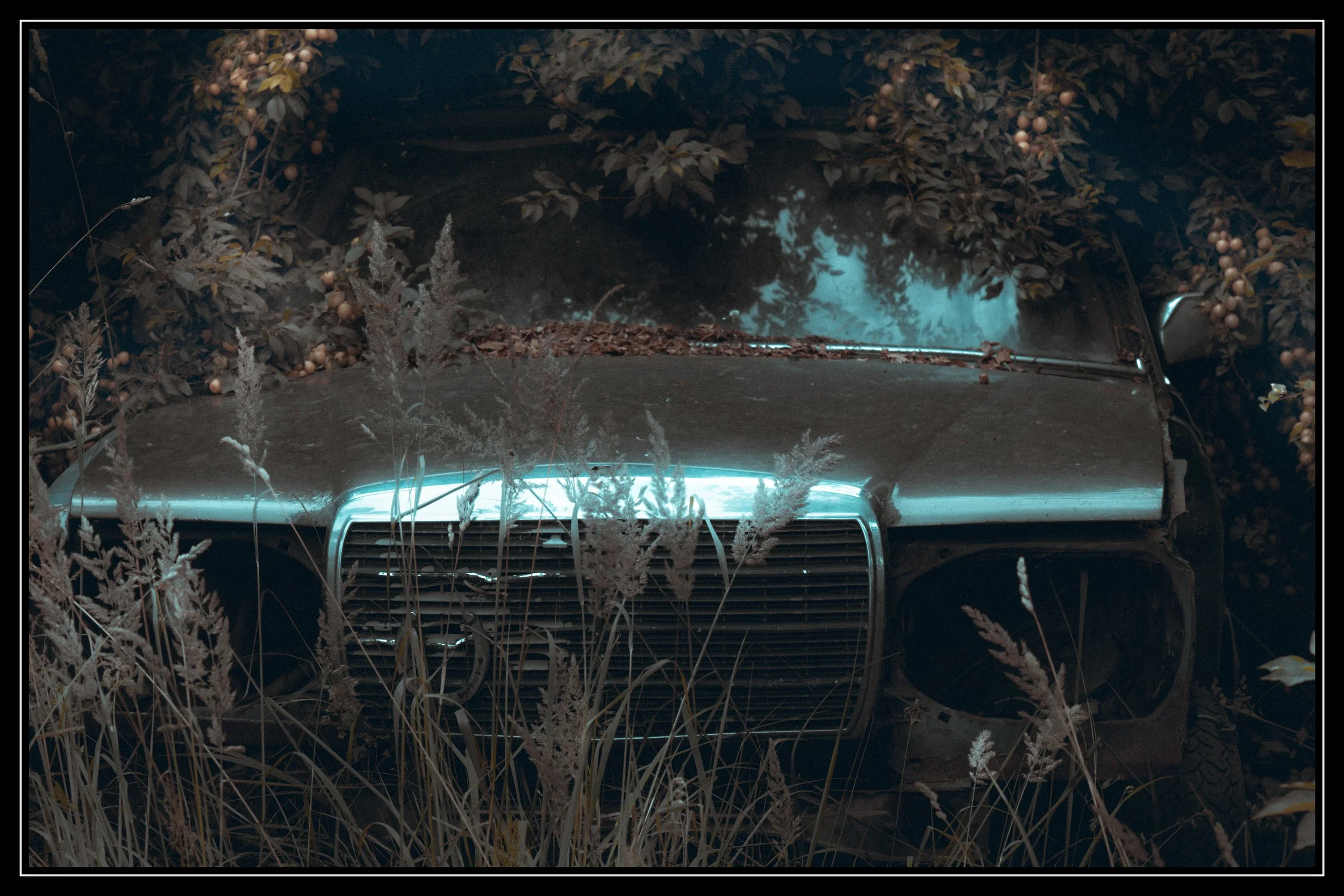 DSCF3338.jpg