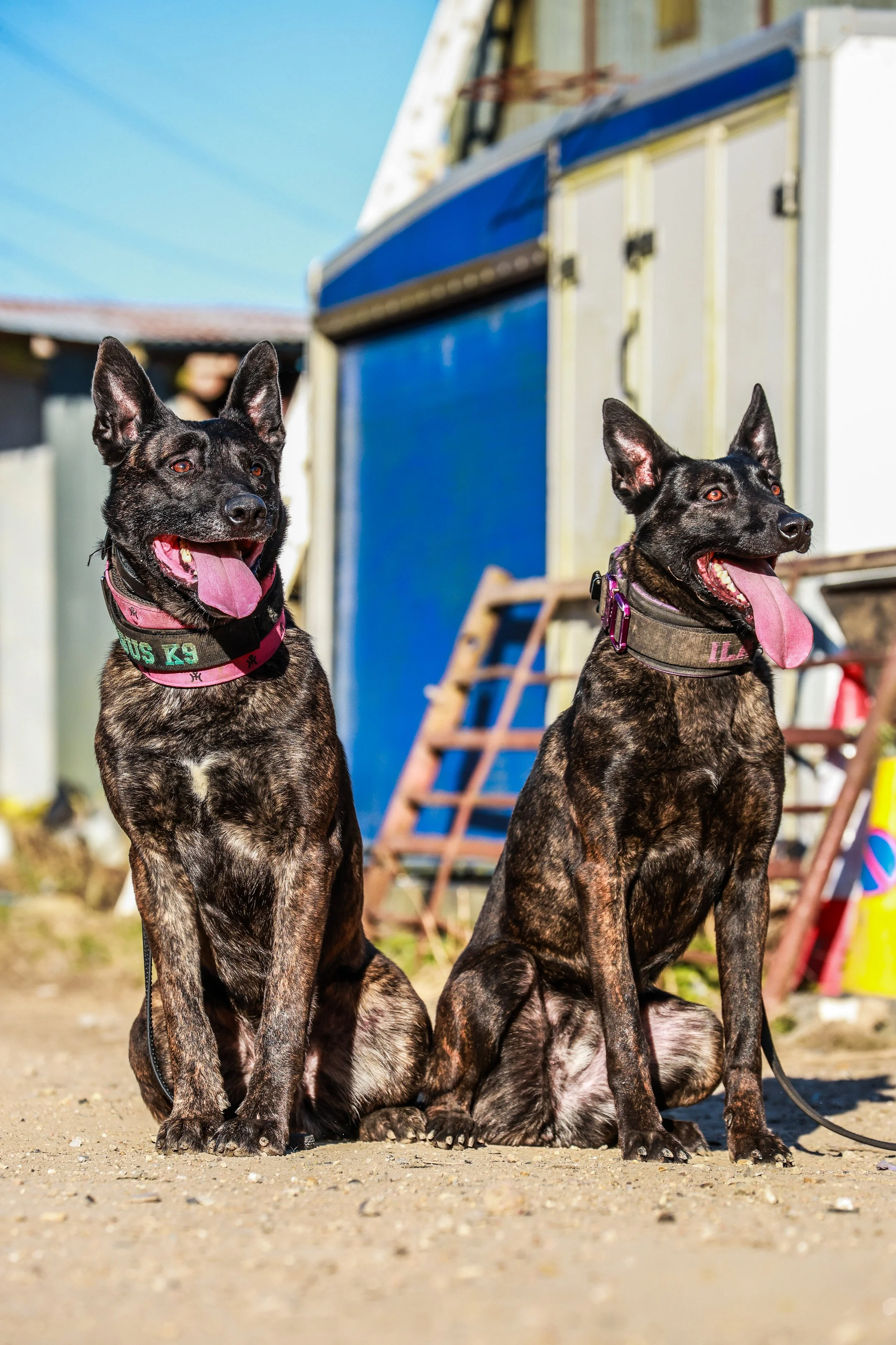 443844E9-BC1C-43D5-9F0E-1C3A107657D1 2.jpg