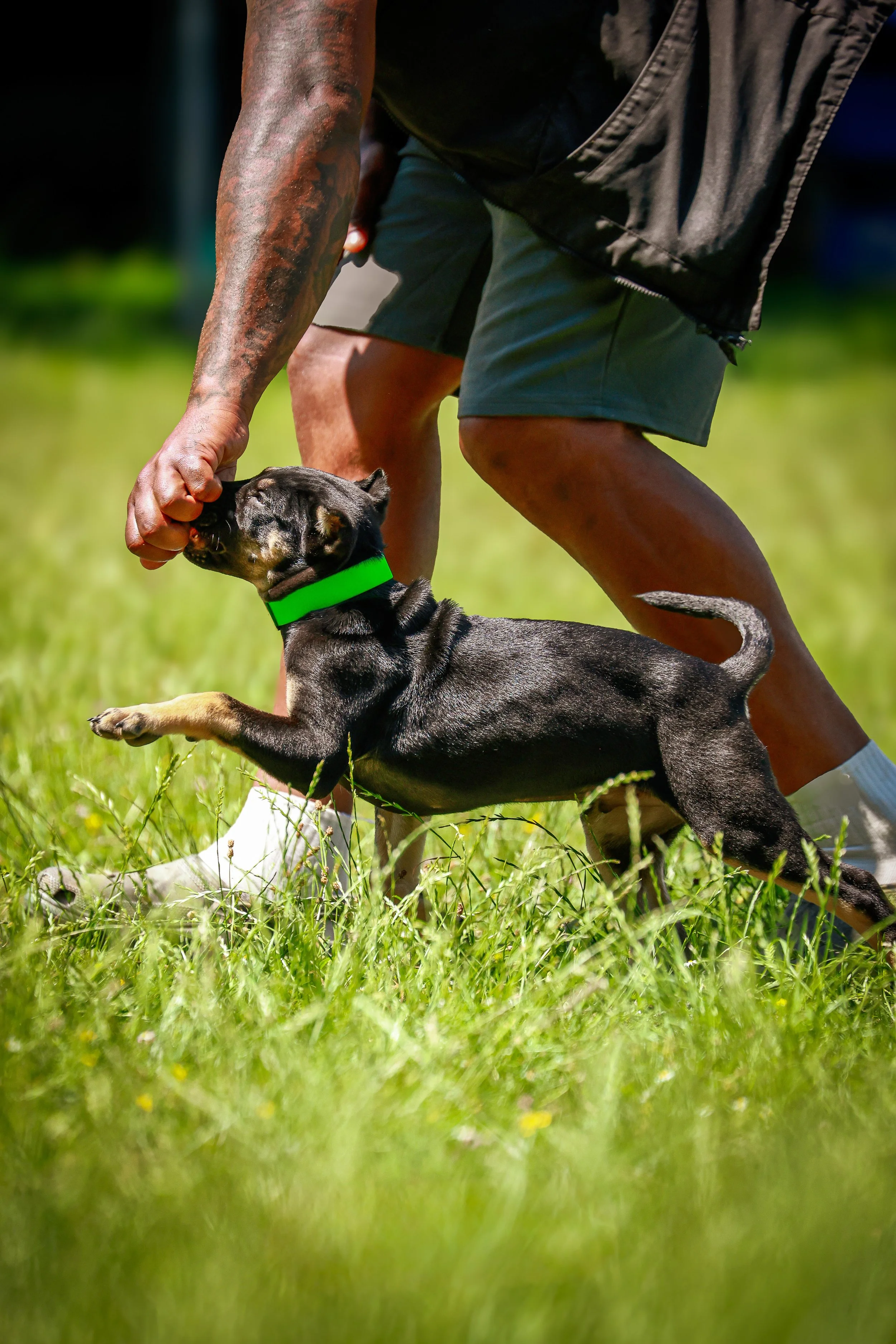 27093B4A-E5FB-4A4E-849B-20D023FDDA3A 2.jpg