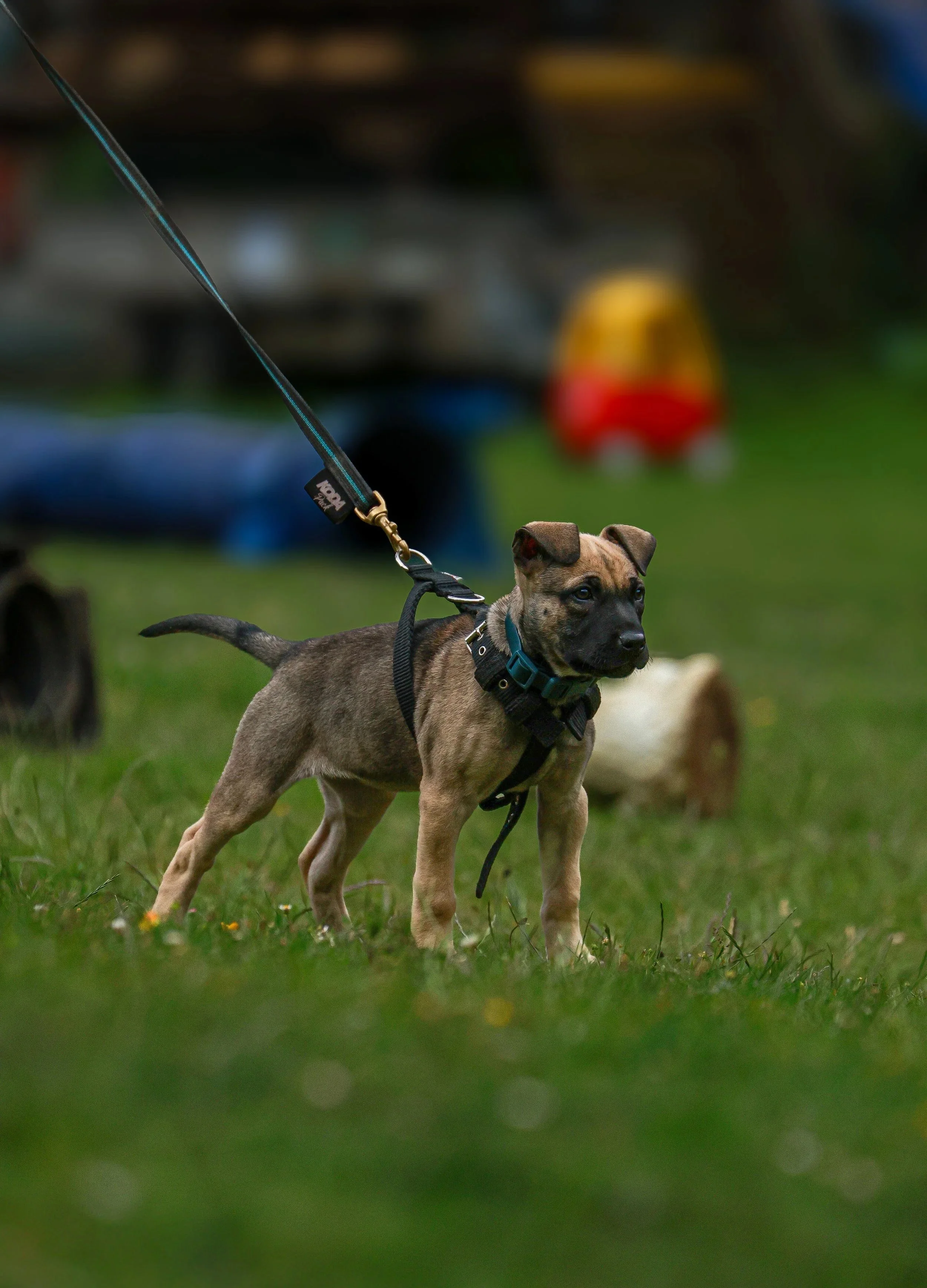 37A2BF7B-2895-4867-AFB4-00290F184E60 3.jpg