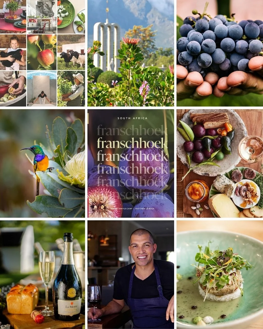 Franschhoek valley images of restaurants and wines and food.jpg