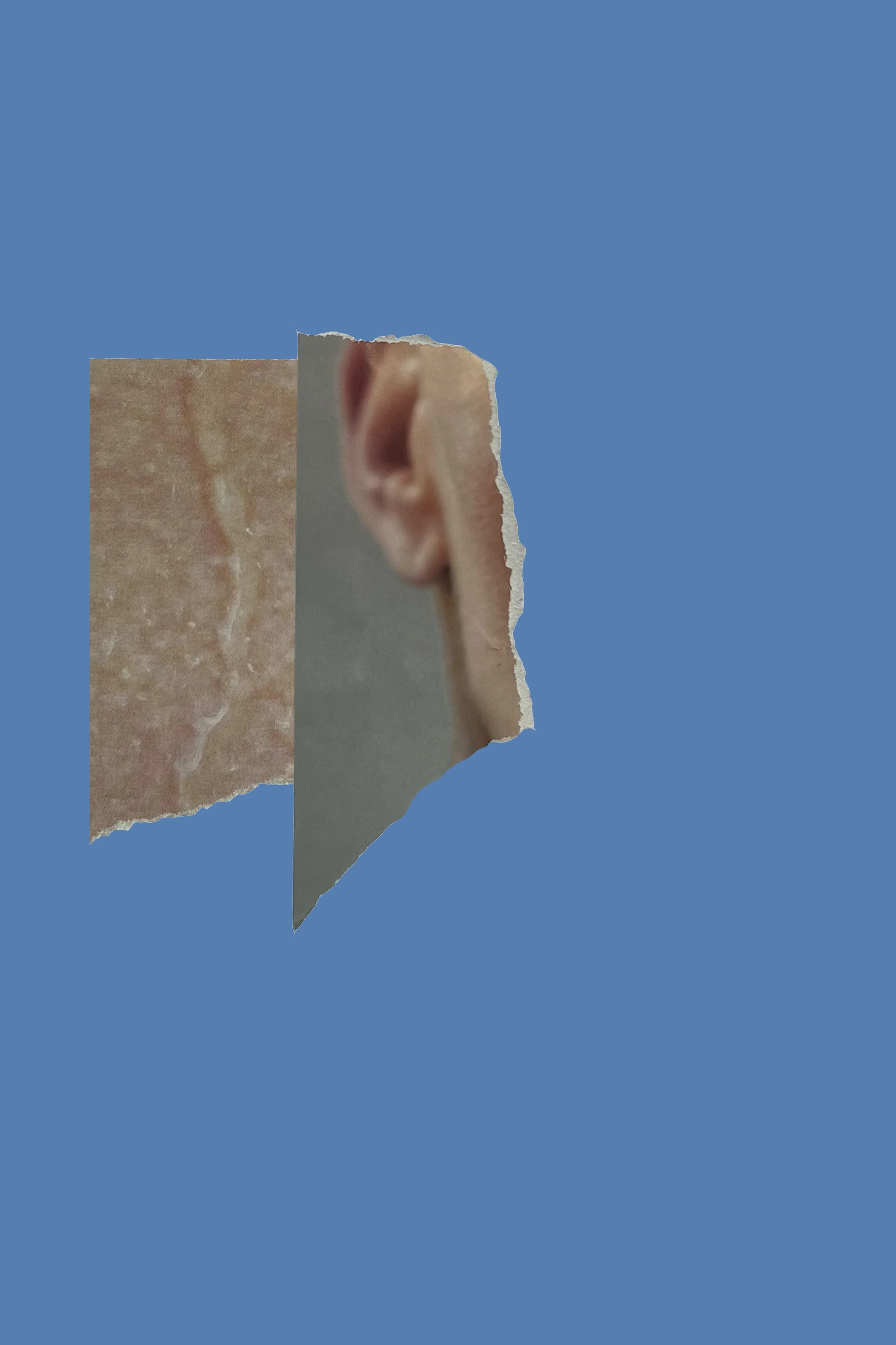 pulse, print on alu dibond in wooden frame, 2026, edition of 10