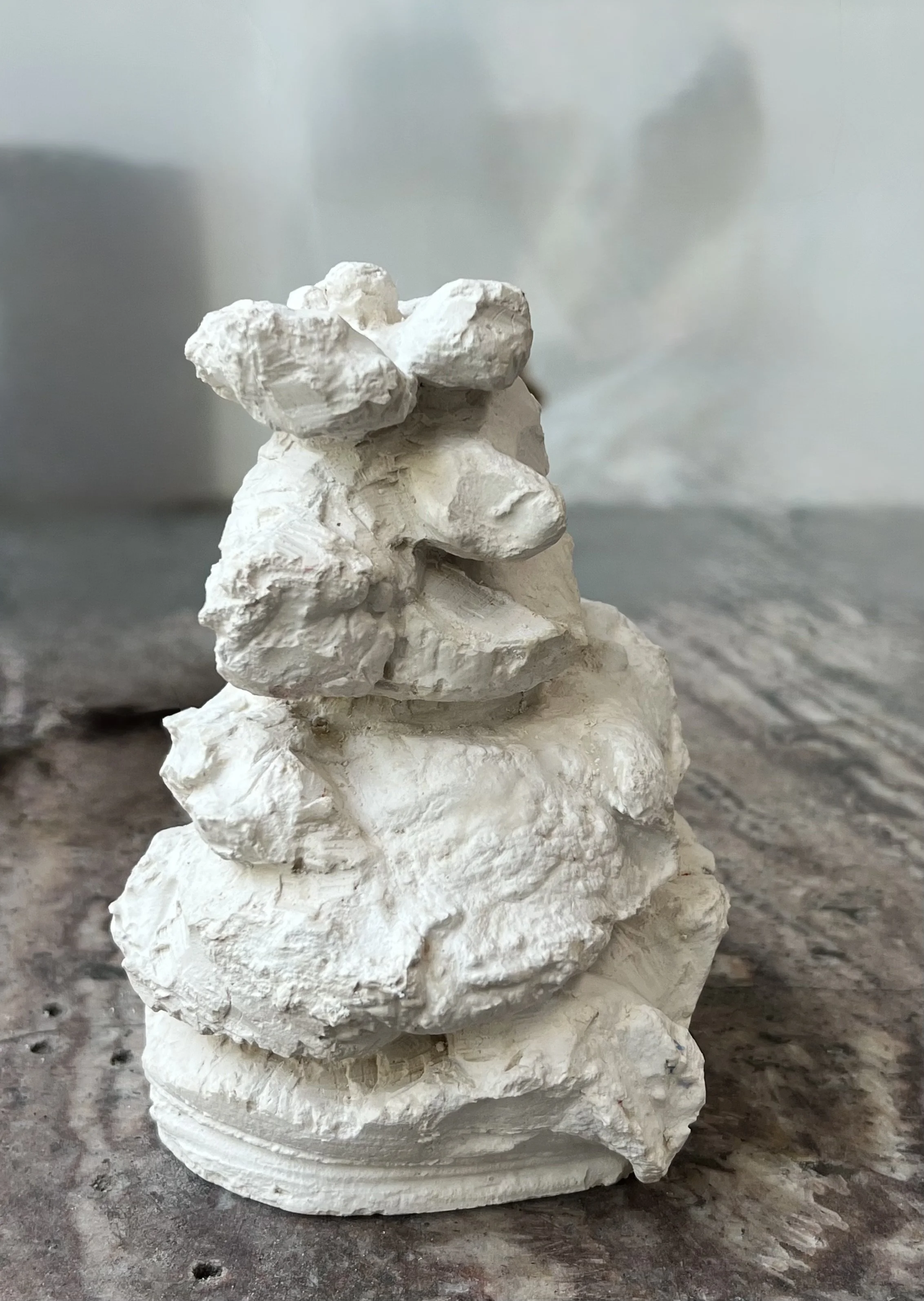 Coral, plaster, 2026, original 1 of 1