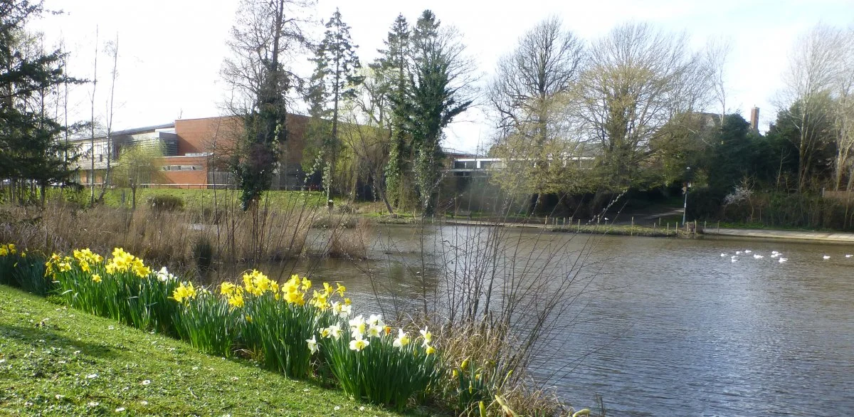 South Pond Midhurst