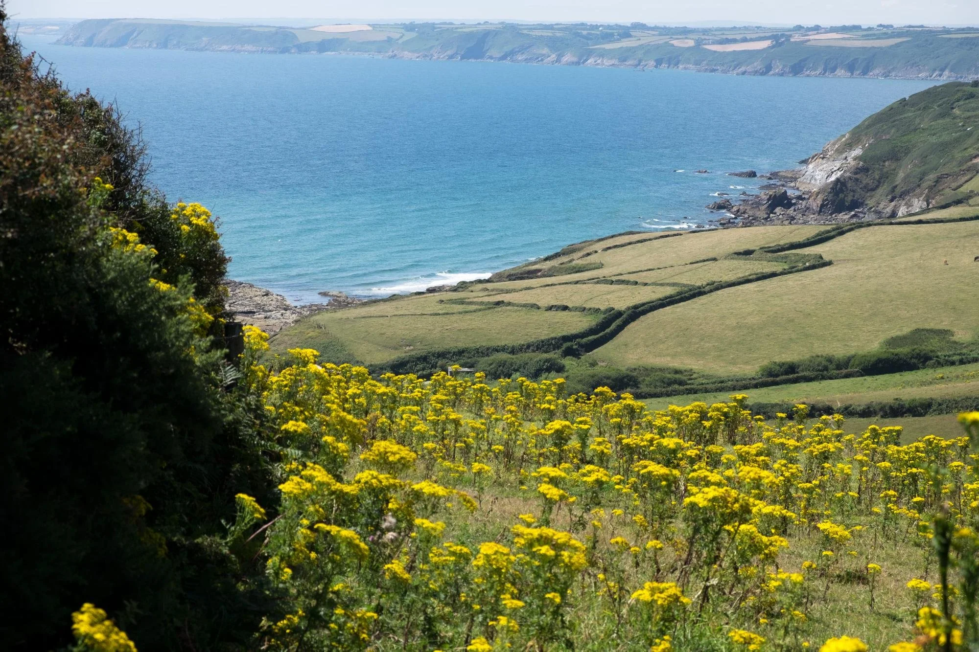 Cornwall & Devon2.jpg