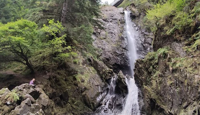 Plodda Falls.jpg