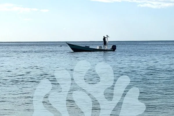 Ocean Literacy Certification — Online Cohort  September 2026