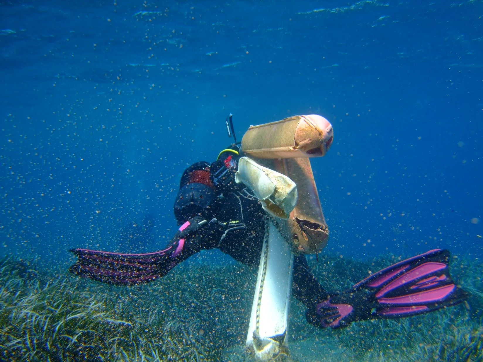 How the ocean became the next big investment opportunity: a beginner’s guide to blue finance